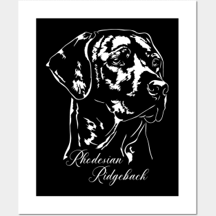 Rhodesian Ridgeback dog lover portrait Posters and Art